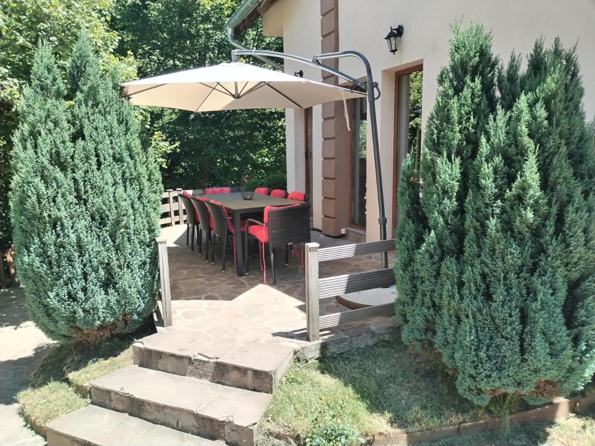 Lodge Zeleni Svet Crni Vrh Dış mekan fotoğraf