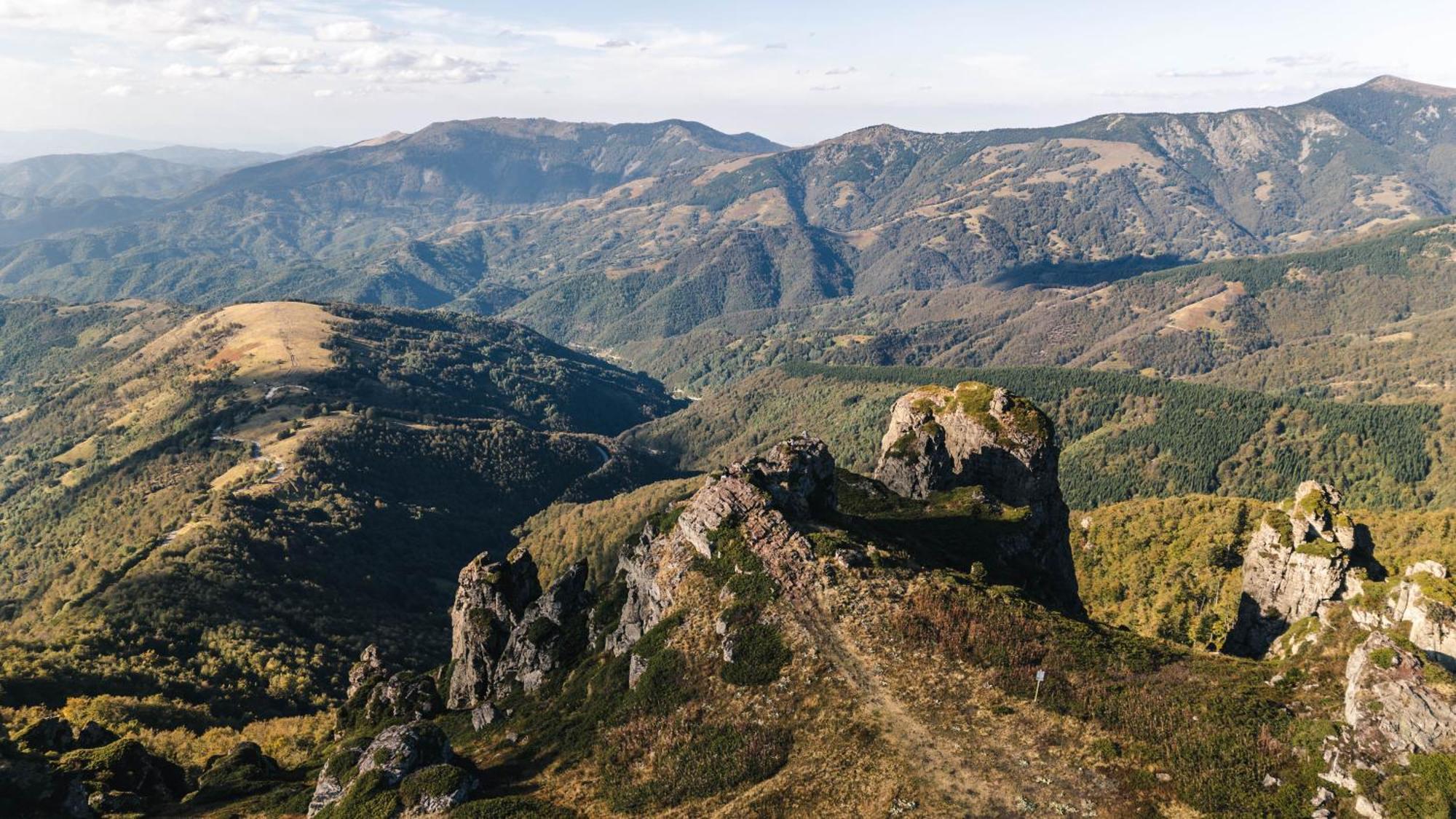 Lodge Zeleni Svet Crni Vrh Dış mekan fotoğraf