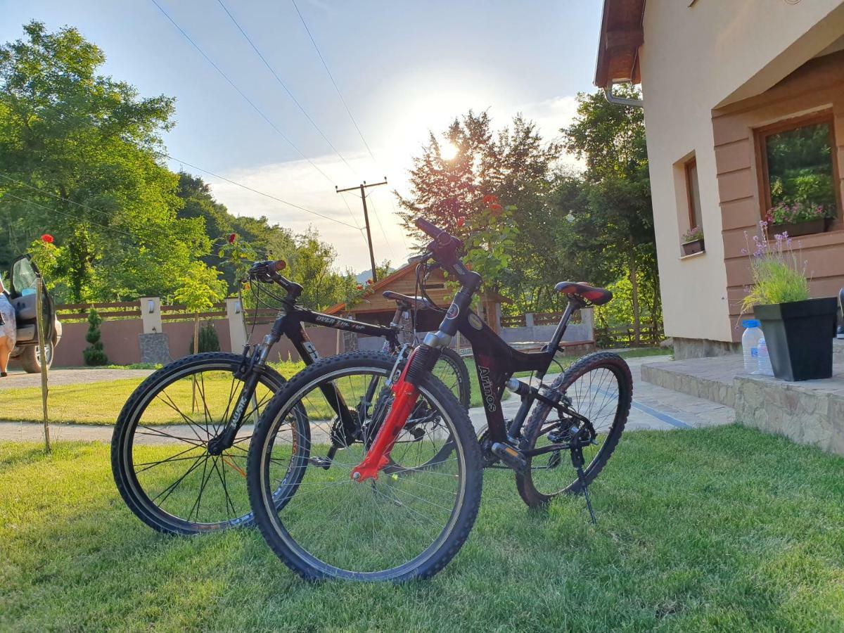 Lodge Zeleni Svet Crni Vrh Dış mekan fotoğraf