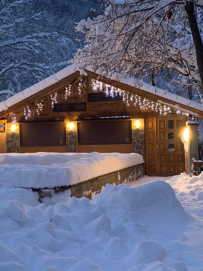 Lodge Zeleni Svet Crni Vrh Dış mekan fotoğraf