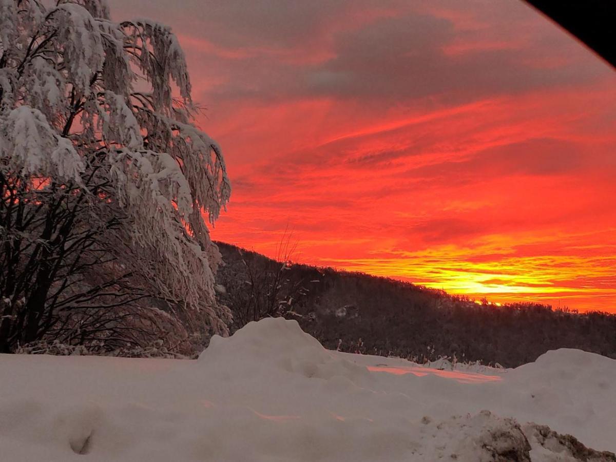 Lodge Zeleni Svet Crni Vrh Dış mekan fotoğraf