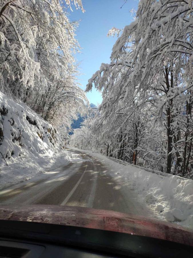 Lodge Zeleni Svet Crni Vrh Dış mekan fotoğraf